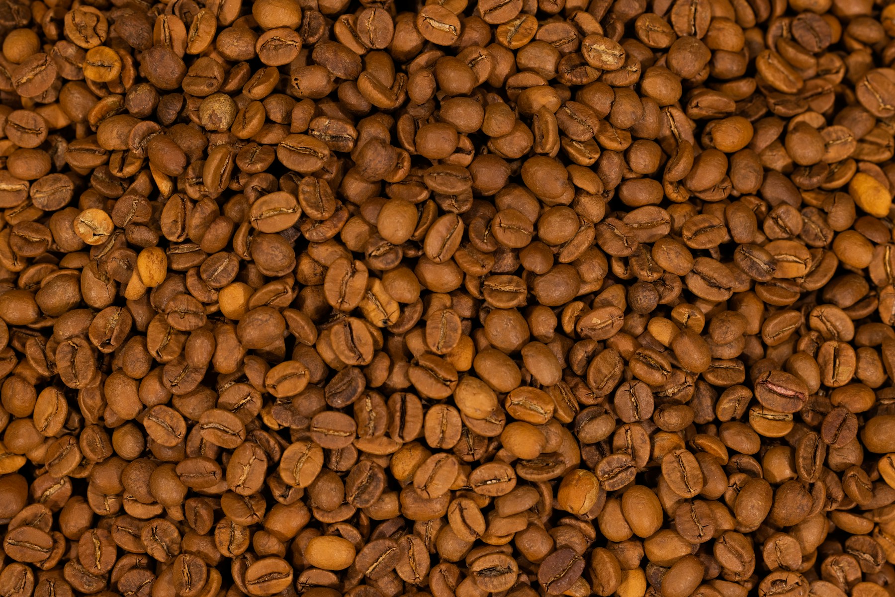 Roasted coffee beans: aroma and character.